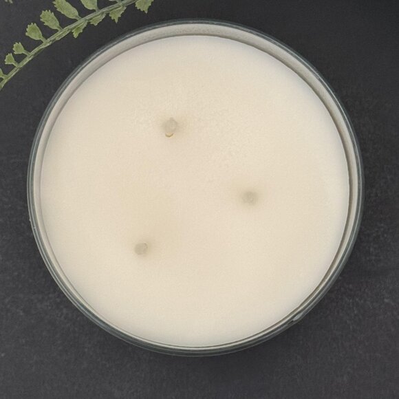 BBW Coastal Cottage Bath & Body Works 3 Wick Candle - Picture 7 of 10